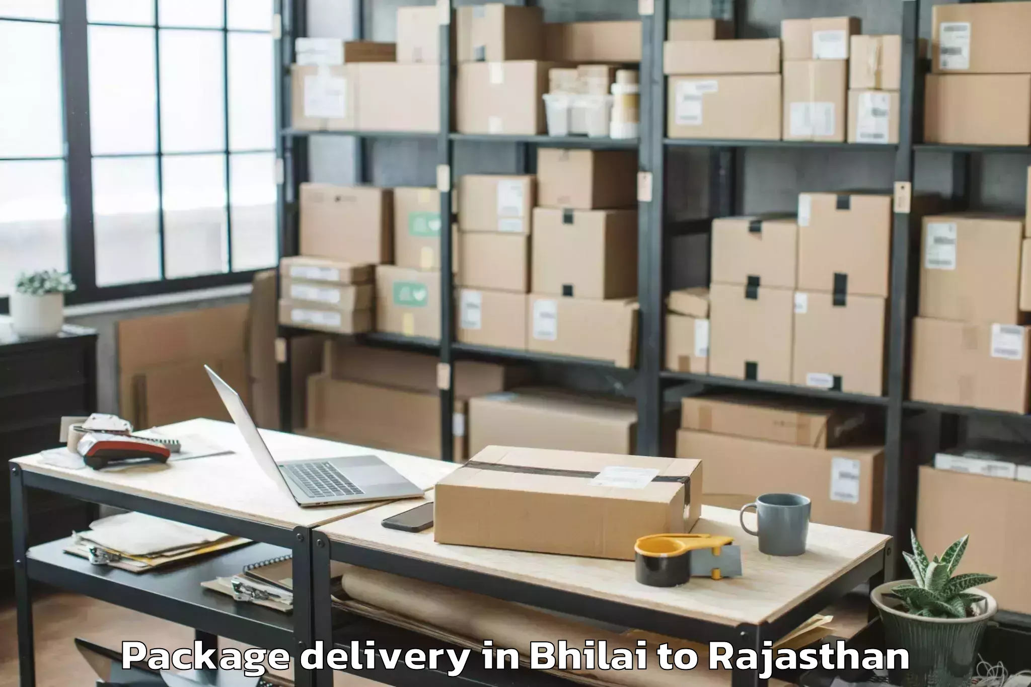 Easy Bhilai to Parvatsar Package Delivery Booking